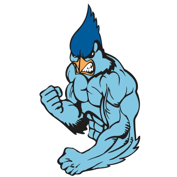 BAW BLUEJAY 13 RC Thumbnail