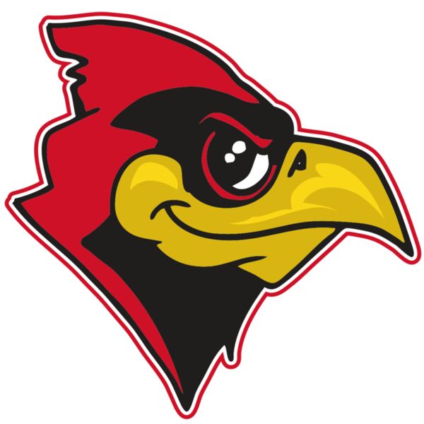 AR CARDINAL 38 RC Thumbnail