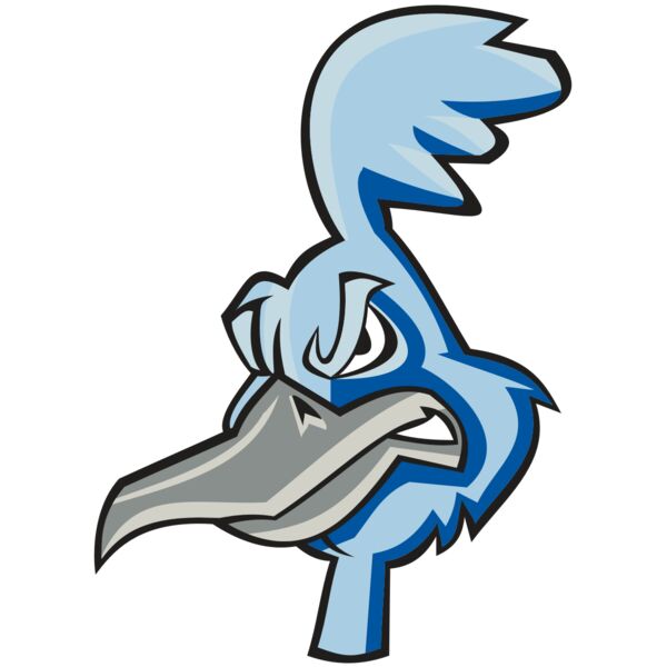 ROADRUNNER HD0501 RQC Thumbnail